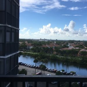 Meet your Posher, Rose